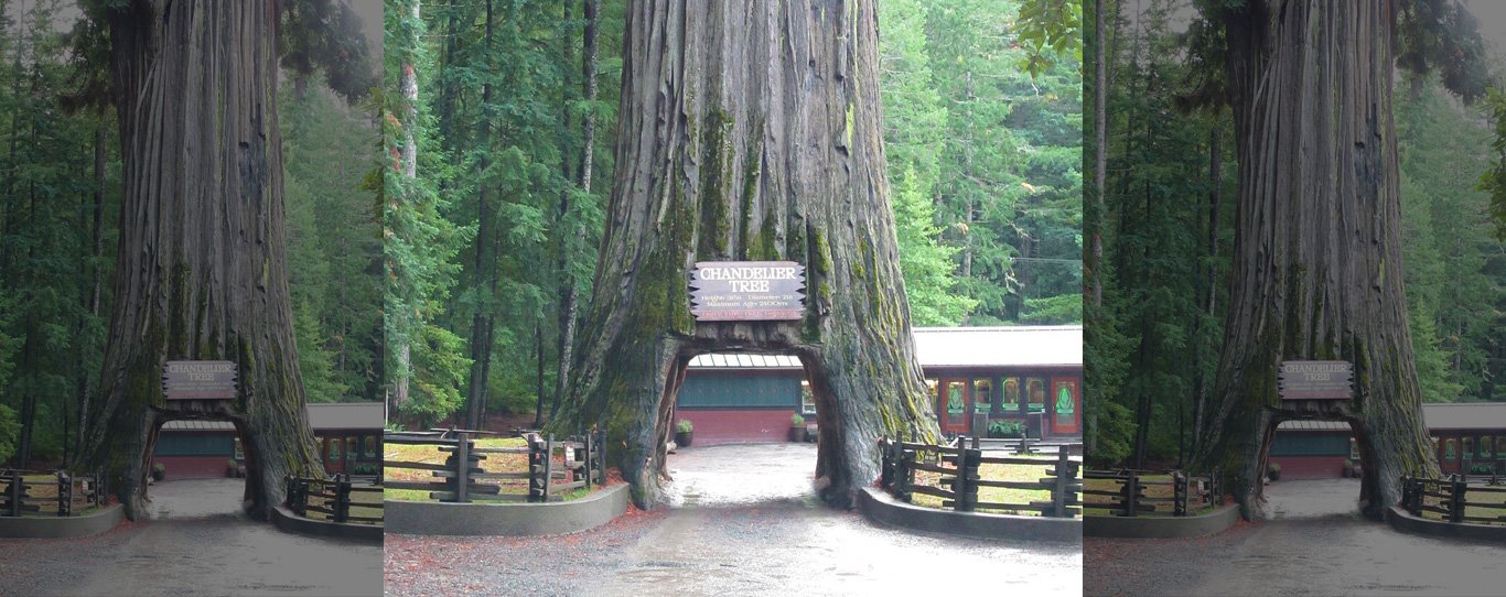 Chandelier Tree