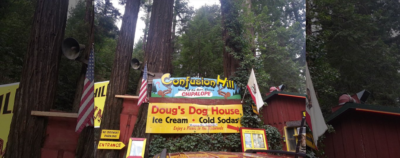 Roadside signs at Confusion Hill in Northern California