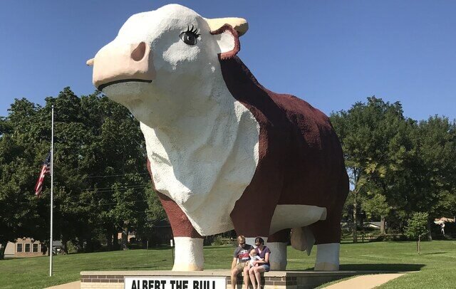 Albert the Bull