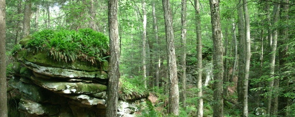 Beartown State Park