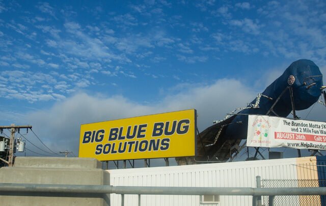 Big Blue Bug