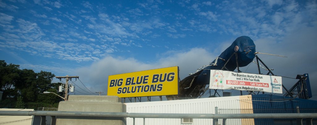 Big Blue Bug
