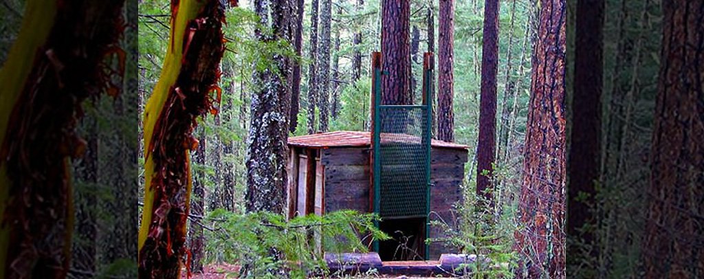 Bigfoot Trap