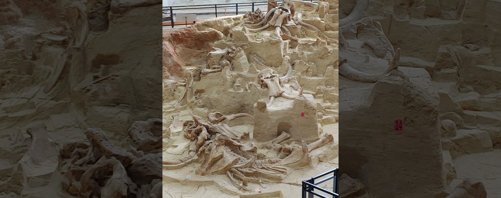 The Mammoth Site in Hot Springs, South Dakota