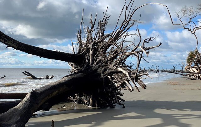 Boneyard Beach