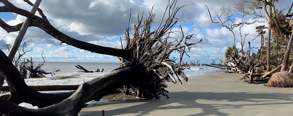 Boneyard Beach