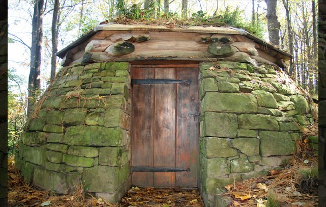 Cloud Chamber for the Trees and Sky