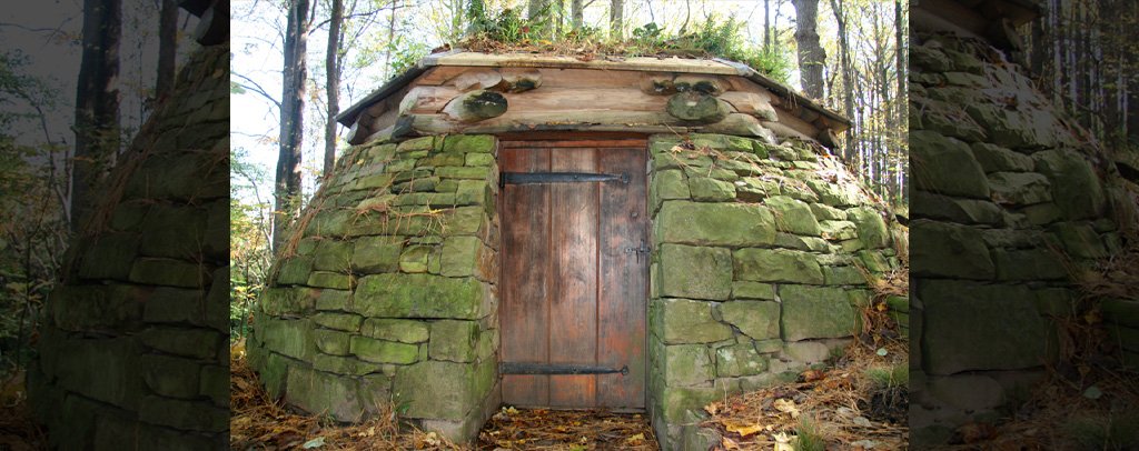 Cloud Chamber for the Trees and Sky in North Carolina