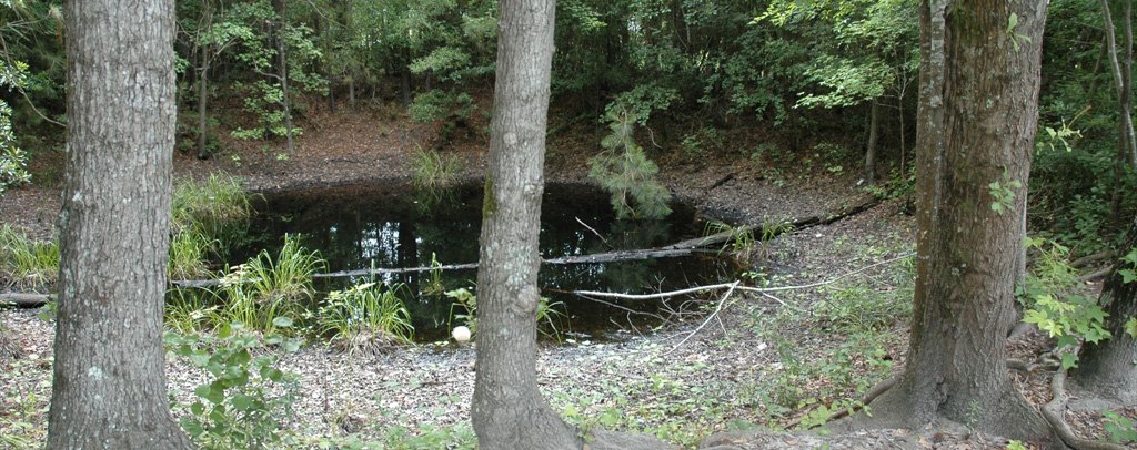 Mars Bluff Atomic Bomb Crater