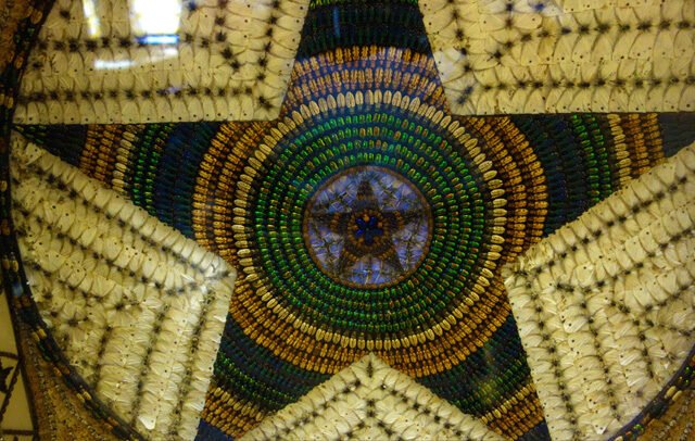 John Hampson’s Bug Art