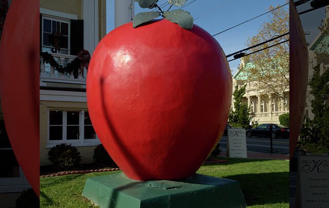 World’s Largest Apple