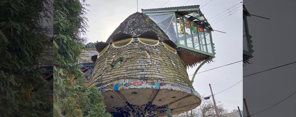 Mushroom House