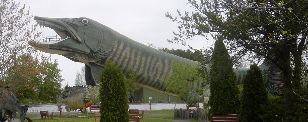 Giant Muskie — Hayward, Wisconsin
