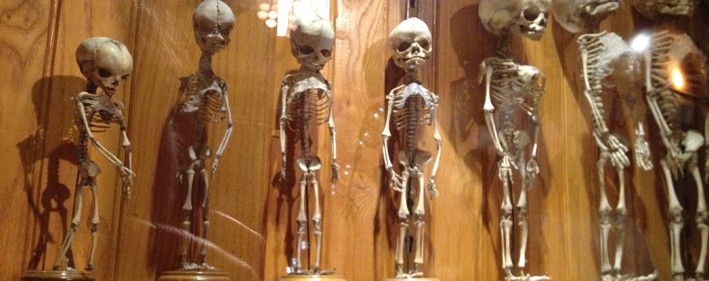 Mütter Museum