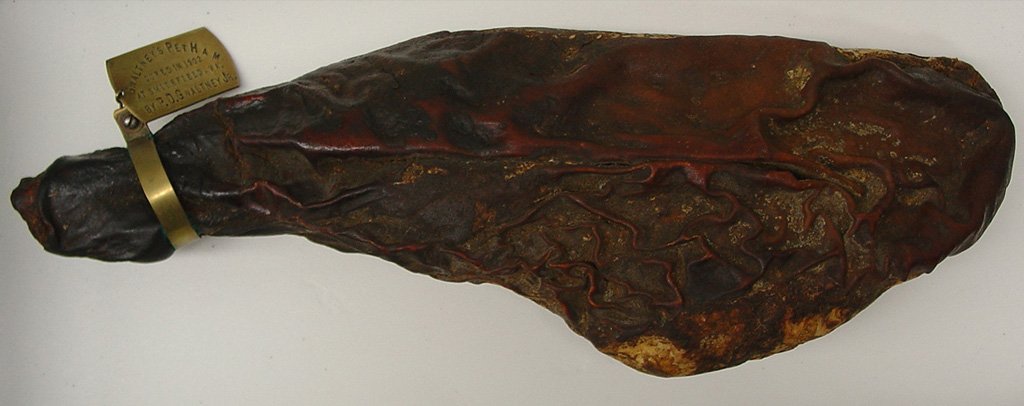 World’s Oldest Ham