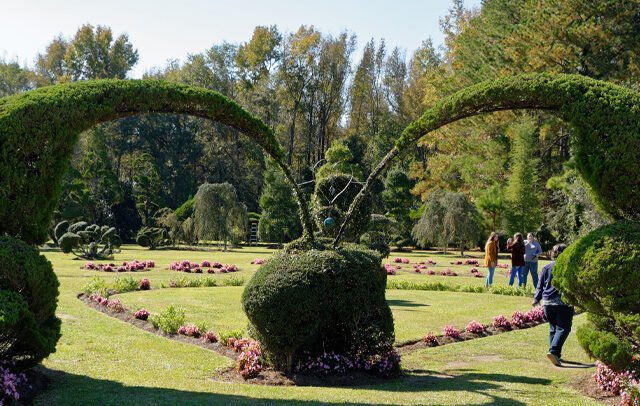 Pearl Fryar Topiary Garden