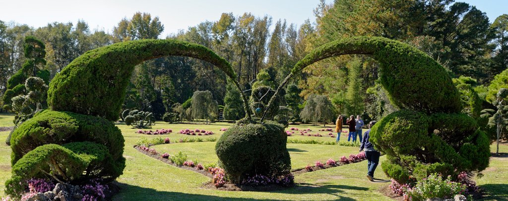Pearl Fryar Topiary Garden