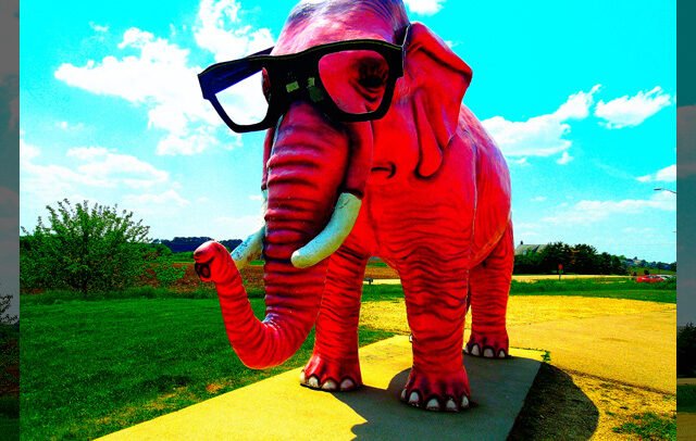 Pinkie the Pink Elephant