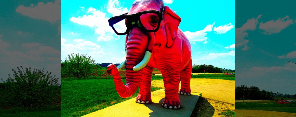 Pinkie the Pink Elephant