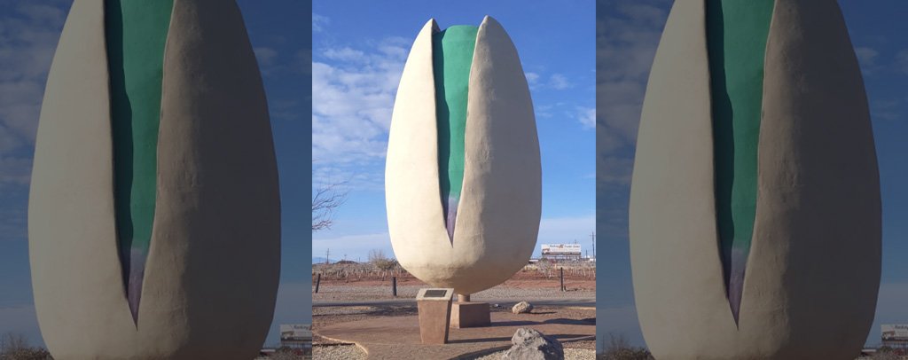 World’s Largest Pistachio