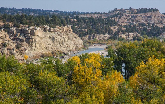 Pompeys Pillar