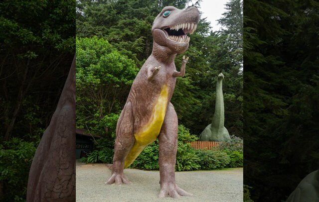 Prehistoric Gardens