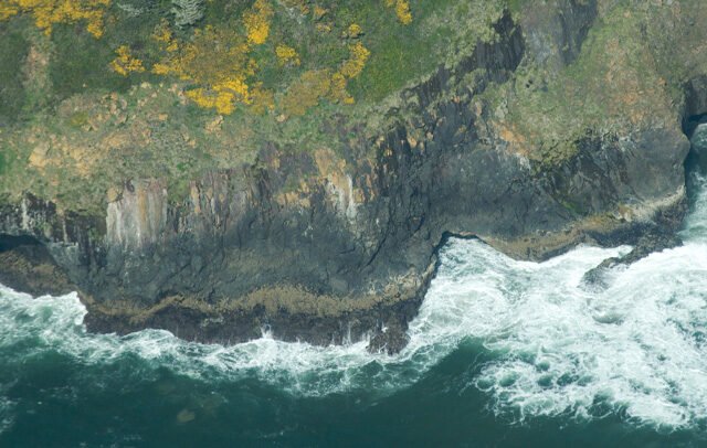 Sea Lion Caves