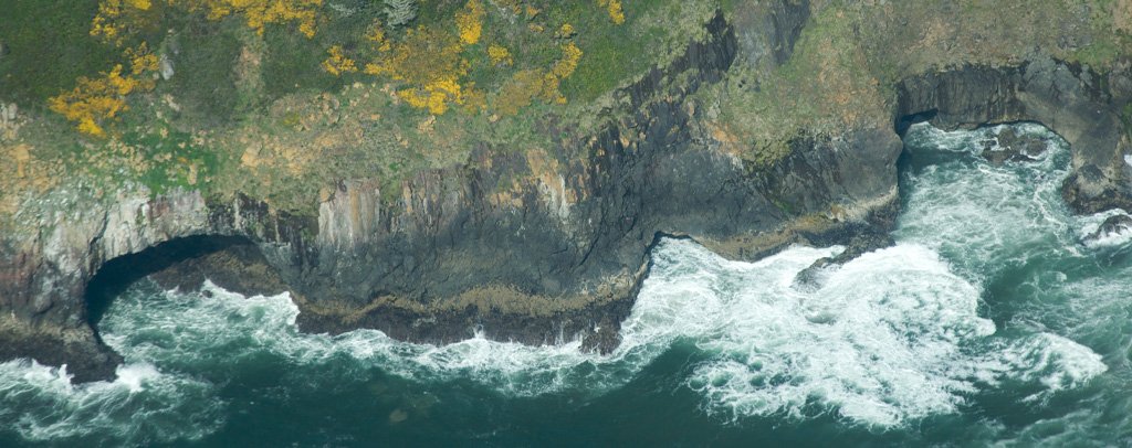 Sea Lion Caves in Oregon