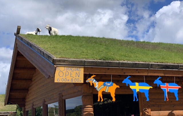 Al Johnson’s Goats on the Roof