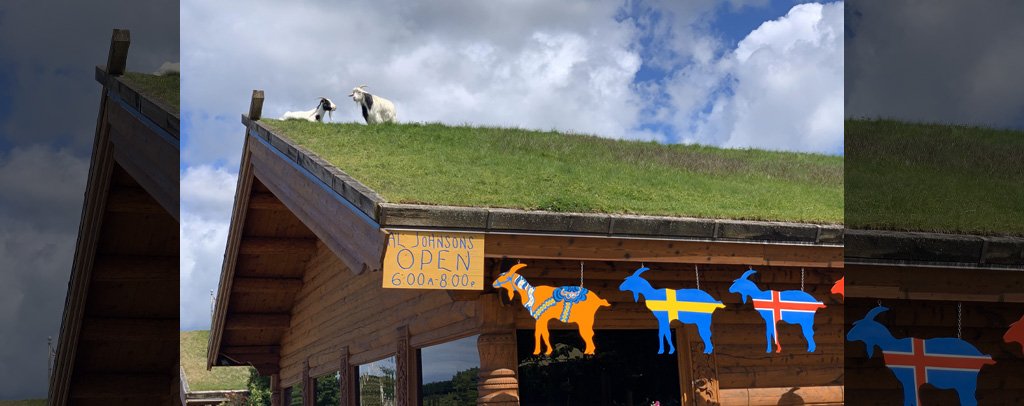 Al Johnson’s Goats on the Roof in Sister Bay, Wisconsin