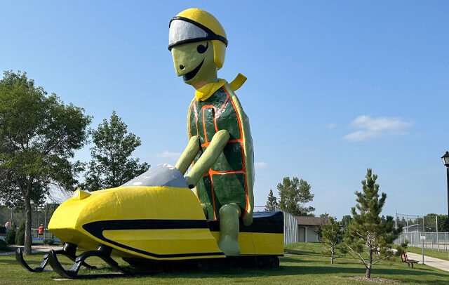 Tommy Turtle