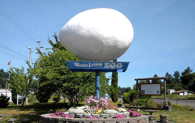 World’s Largest Egg