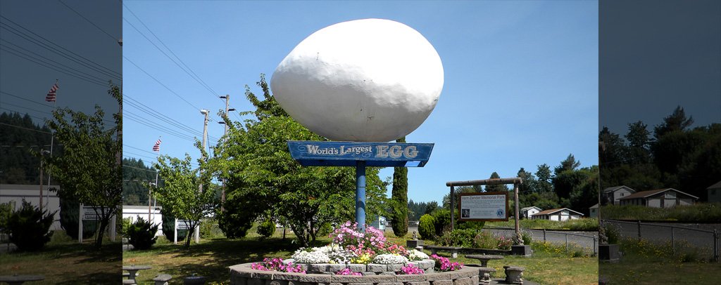 World’s Largest Egg