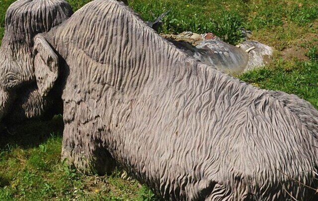 Life-size mammoth display appearing stuck in soft earth at Big Bone Lick State Historic Site in Kentucky
