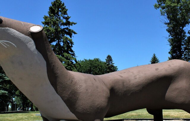 Otto the Otter