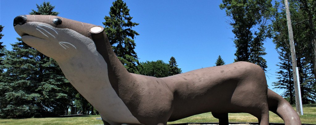 Otto the Otter
