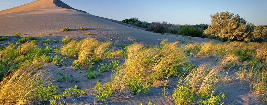 Bruneau Dunes