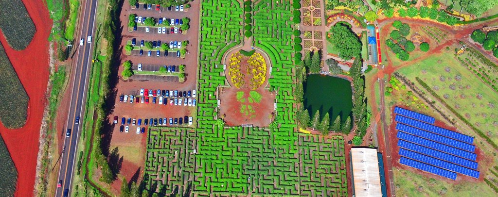 Dole Pineapple Garden Maze