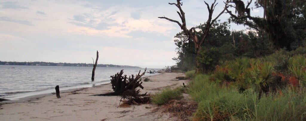 Fallen trees and exposed roots along Driftwood Beach