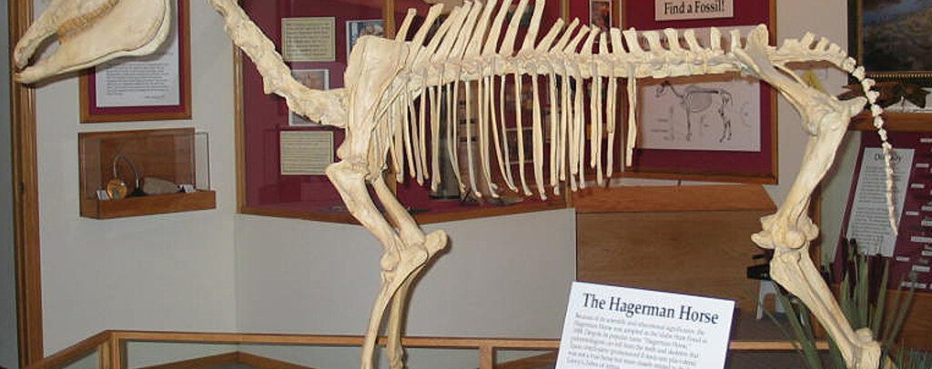 Hagerman Fossil Beds