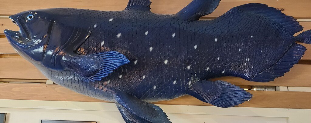 International Cryptozoology Museum