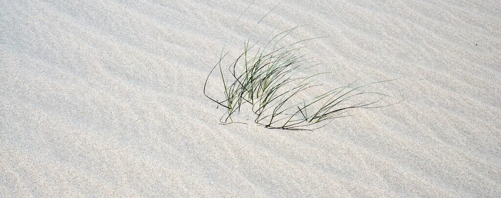 Killpecker Sand Dunes