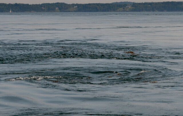 Old Sow Whirlpool