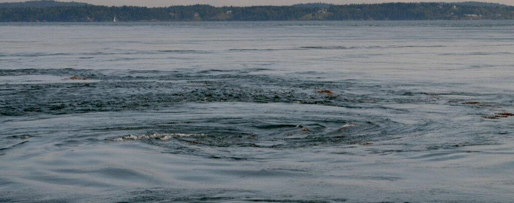 Old Sow Whirlpool