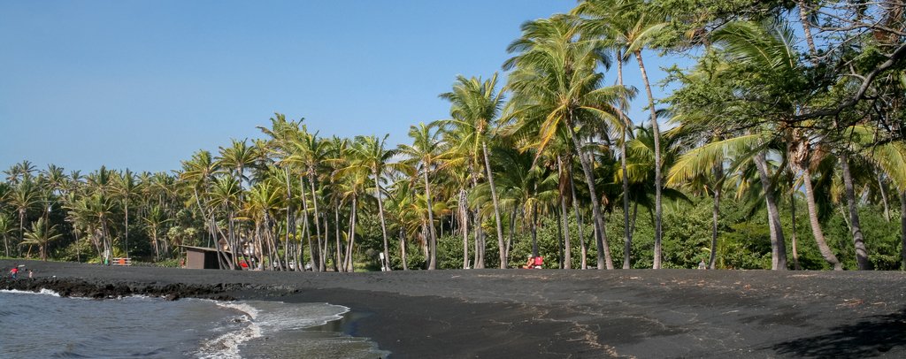 Jet-black volcanic sand and coconut palms line Punaluʻu Beach on Hawaiʻi Island.