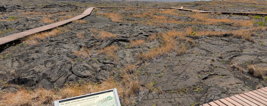 Boardwalk crossing the petroglyph-covered lava field at Puʻu Loa in Hawaiʻi Volcanoes National Park.