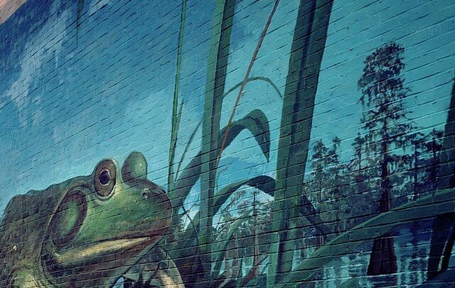 Frog mural by artist Robert Dafford in Rayne, Louisiana, the Frog Capital of the World