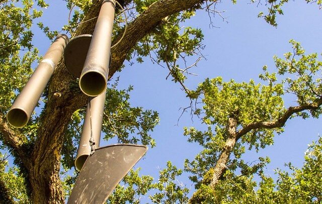 Singing Oak with wind chimes hanging from its branches in New Orleans City Park