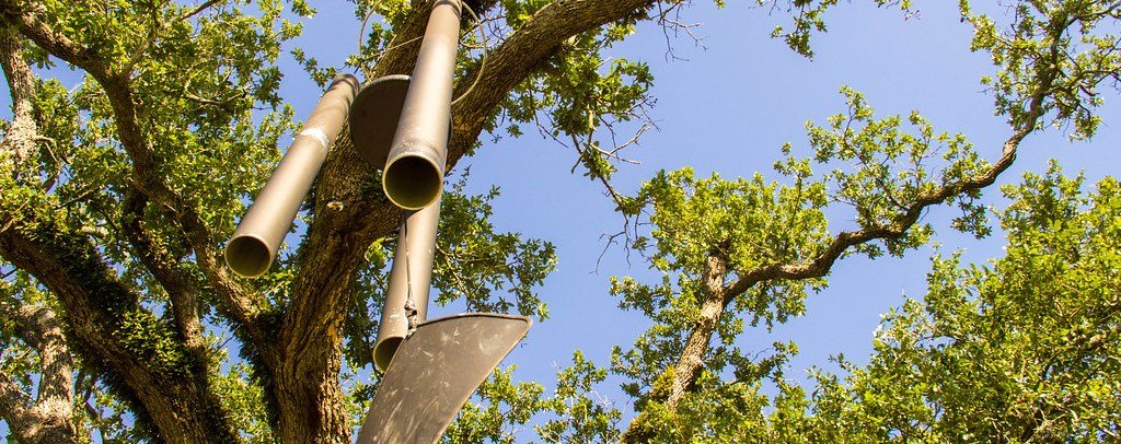 Singing Oak in Louisiana