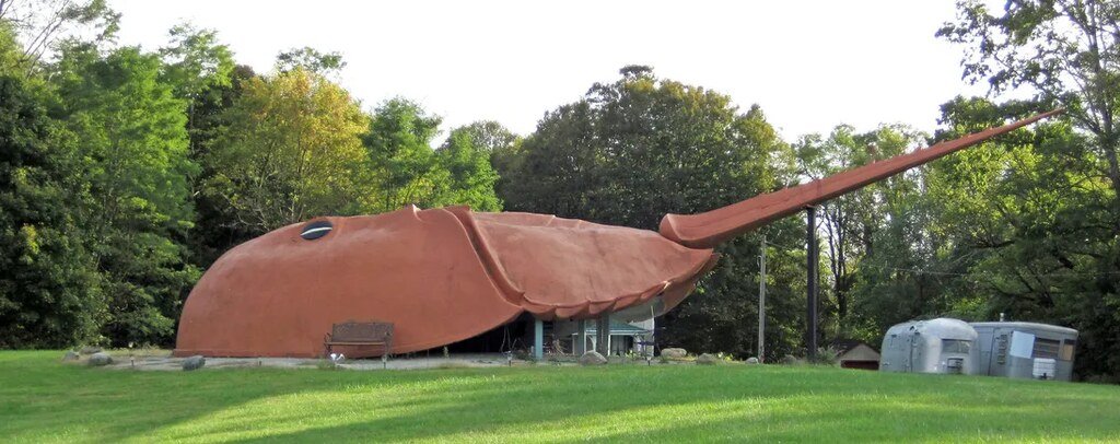 World’s Largest Horseshoe Crab